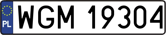 WGM19304