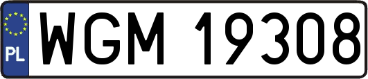 WGM19308