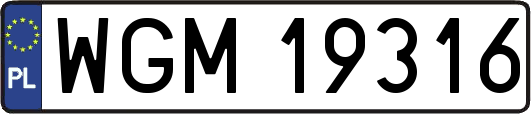 WGM19316