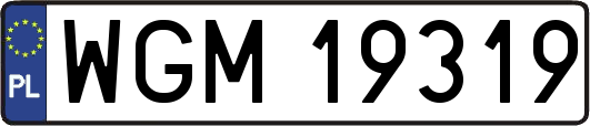 WGM19319