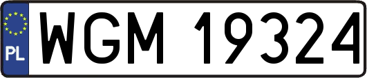 WGM19324