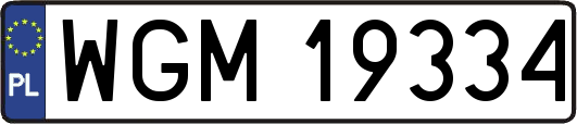 WGM19334