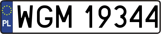 WGM19344