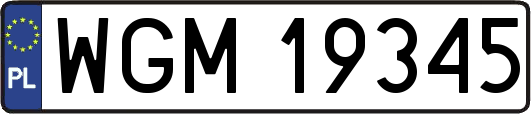 WGM19345