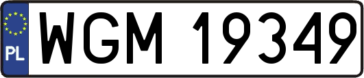 WGM19349