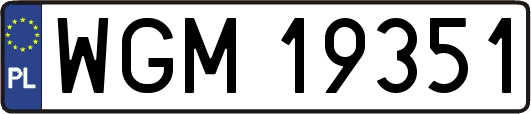 WGM19351