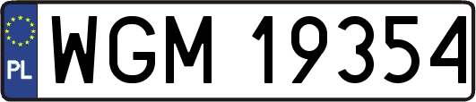 WGM19354