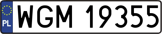WGM19355