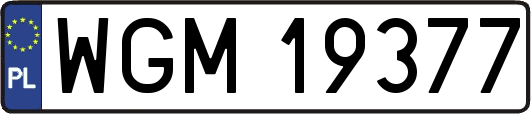 WGM19377