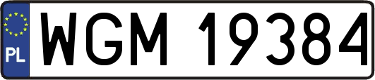 WGM19384