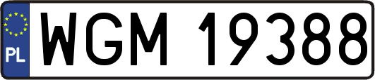 WGM19388