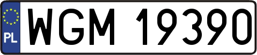 WGM19390