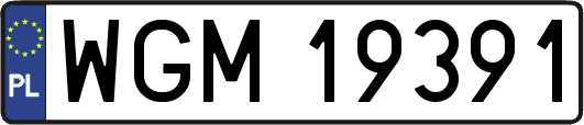 WGM19391