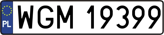WGM19399