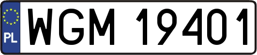 WGM19401