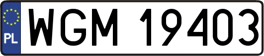 WGM19403