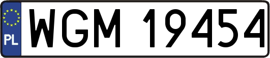WGM19454