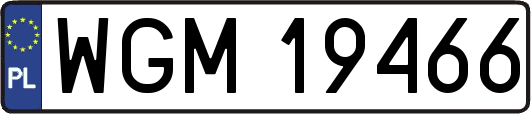 WGM19466