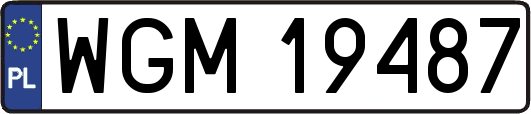 WGM19487
