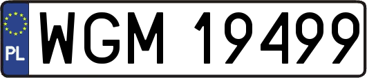 WGM19499