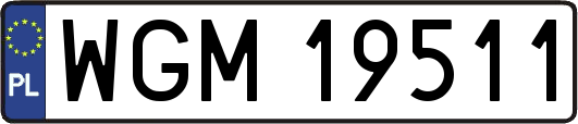 WGM19511