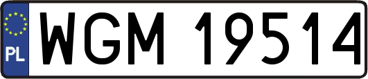 WGM19514