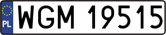 WGM19515