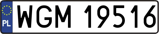 WGM19516