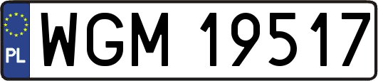 WGM19517