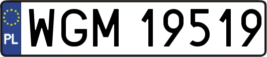 WGM19519