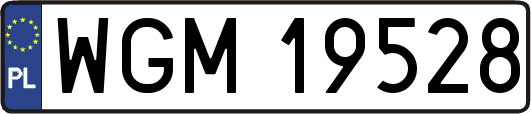 WGM19528