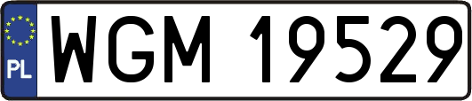 WGM19529