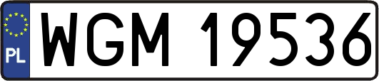 WGM19536