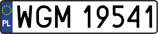 WGM19541