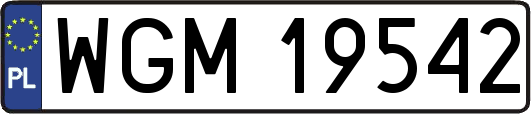 WGM19542