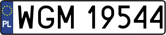 WGM19544