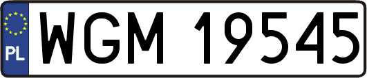 WGM19545