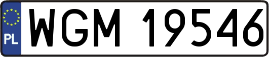 WGM19546