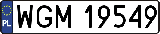 WGM19549