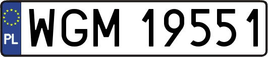 WGM19551