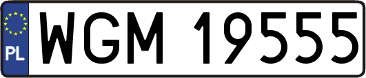 WGM19555