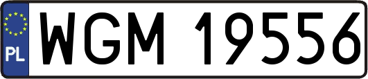 WGM19556