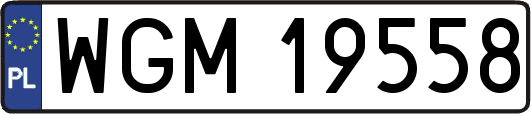 WGM19558