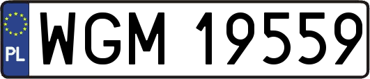 WGM19559