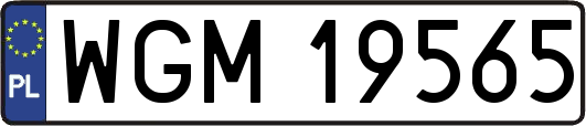 WGM19565