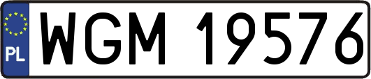 WGM19576
