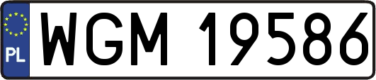 WGM19586
