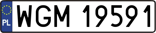 WGM19591