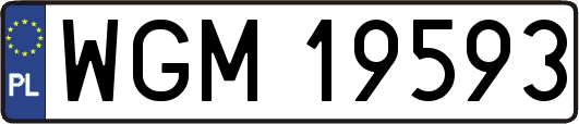 WGM19593