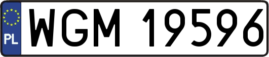 WGM19596